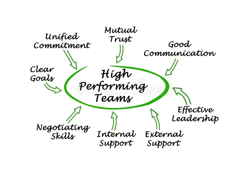 High performing teams have these amazing points.