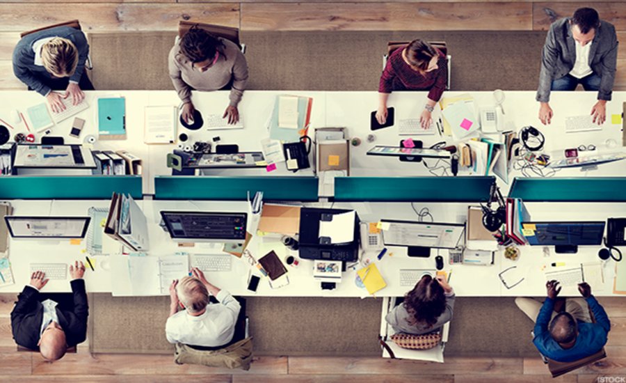 workplace culture/office environment of employers.