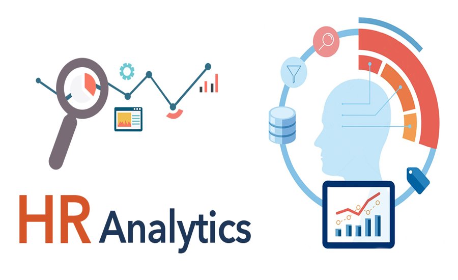 HR analytics dashboard visualizing employee data trends and strategic insights for workforce planning
